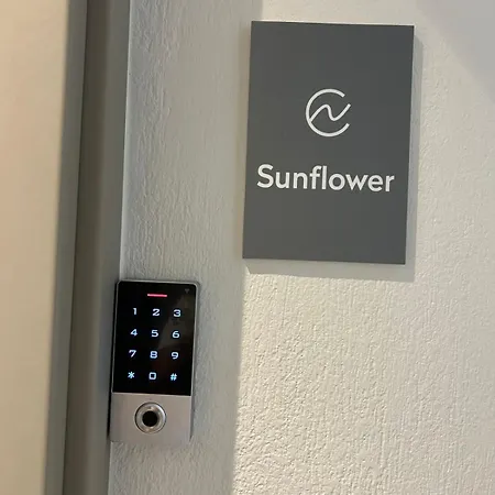 Elisavet 3* Skala Potamia